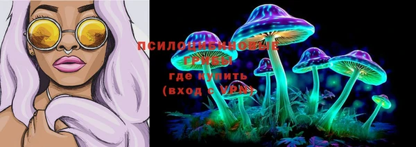 jwh Ладушкин