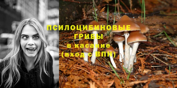 jwh Ладушкин