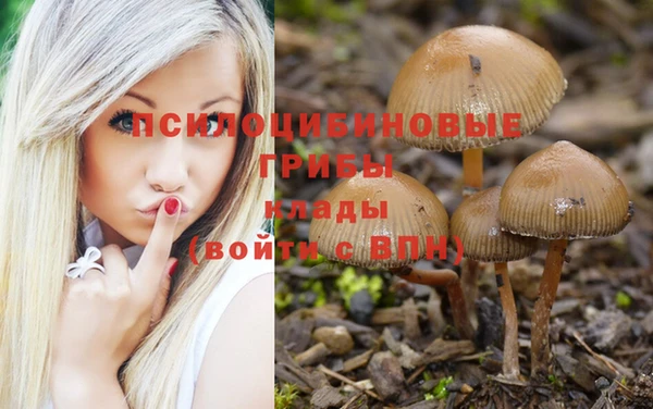 гидропоника Лагань
