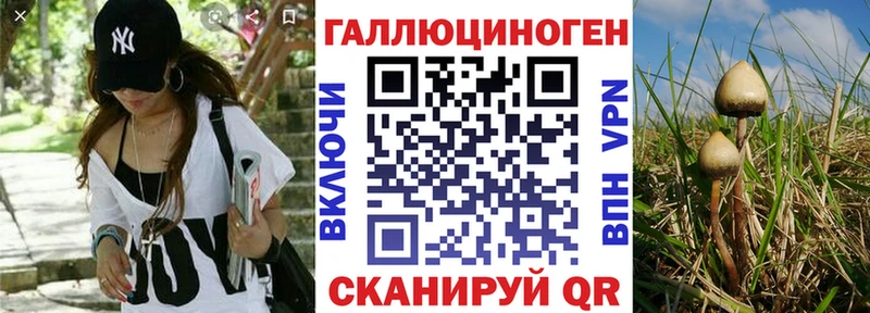 Галлюциногенные грибы Psilocybe  Купить закладки  Ялуторовск 
