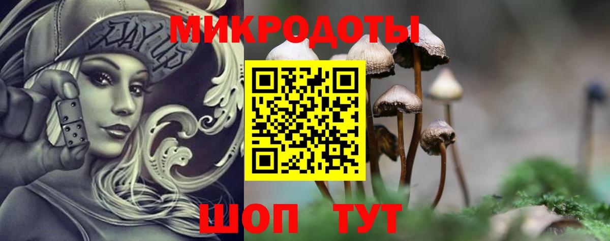 Псилоцибиновые грибы Magic Shrooms  Галлюциногенные грибы MAGIC MUSHROOMS  Вход с VPN  Ялуторовск 