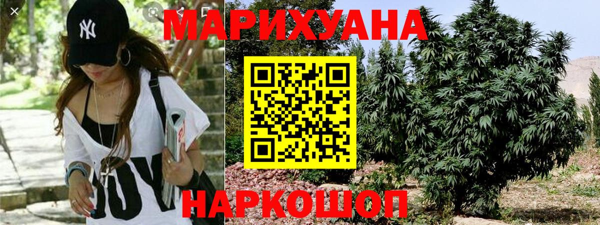 Шишки марихуана конопля  Ялуторовск  Шишки марихуана OG Kush  Марихуана Amnesia  Шишки марихуана AK-47 